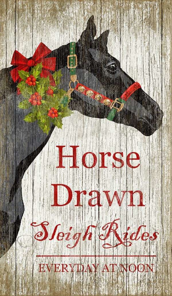 Christmas Horse by Suzanne Nicoll